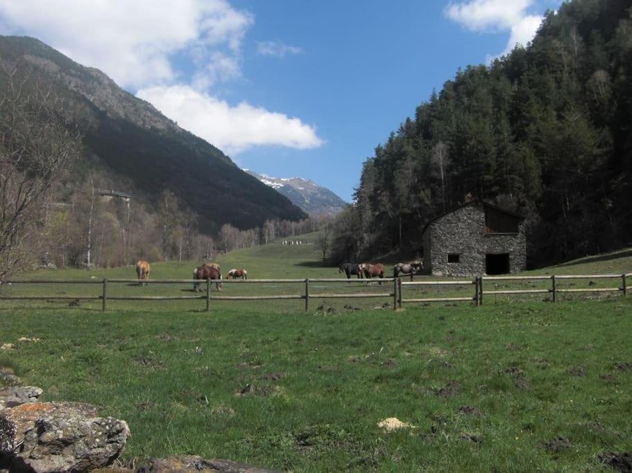 Apartament Gran Pirineu Montferrer ภายนอก รูปภาพ